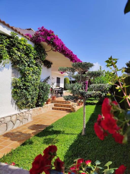 Exclusiva Villa Con Piscina Калафат Экстерьер фото